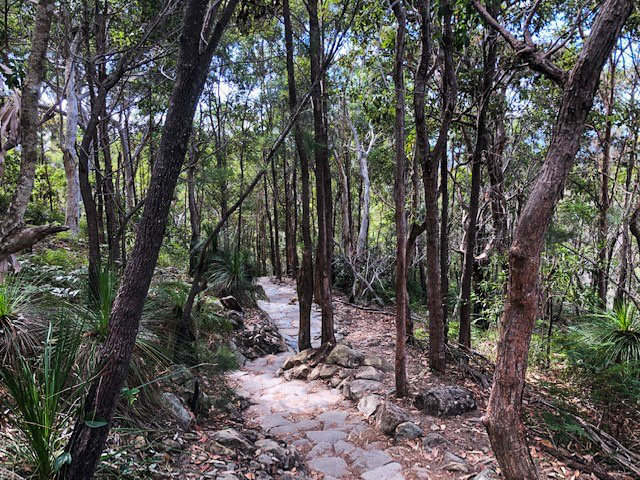 Mt Coolum National Park: Summit Walk - Adventure Sunshine Coast